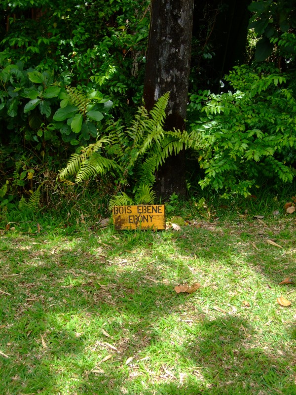 Mauritius 2010 - 0297 